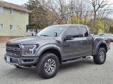 Certified 2017 Ford F150 Raptor image 3