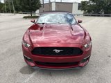 Used 2015 Ford Mustang Convertible w/ Equipment Group 051A image 3