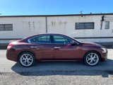 Used 2010 Nissan Maxima 3.5 SV w/ Sport Pkg image 5