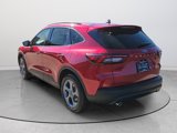 New 2025 Ford Escape ST-Line w/ Tech Pack #1 image 6