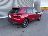 New 2025 Ford Escape ST-Line w/ Tech Pack #1 image 3