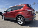 Used 2015 Ford Escape Titanium image 4