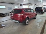 Used 2017 Ford Escape Titanium image 4