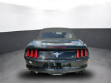 Used 2015 Ford Mustang Convertible image 5