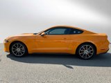 Used 2018 Ford Mustang Premium w/ Equipment Group 201A image 6