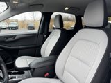 Used 2025 Ford Escape Active w/ Cold Weather Package image 5
