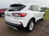 Used 2020 Ford Escape SE image 3