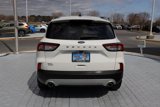 Used 2022 Ford Escape SEL w/ Technology Package image 4