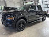 Used 2024 Ford F150 STX image 4