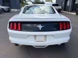 Used 2016 Ford Mustang Coupe w/ Equipment Group 051A image 4