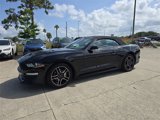 Used 2023 Ford Mustang Premium image 2