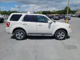 Used 2010 Ford Escape Limited image 6