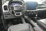 Used 2021 Ford F150 XLT w/ Equipment Group 302A High image 2