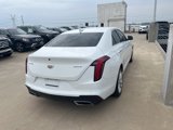 Used 2021 Cadillac CT4 Luxury w/ Sun And Sound Package image 3