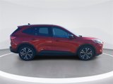 Used 2021 Ford Escape SE w/ SE Sport Appearance Package image 6