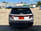 Used 2024 Hyundai Tucson Limited image 6