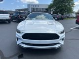 Certified 2021 Ford Mustang Coupe w/ Equipment Group 101A image 2
