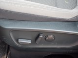 Used 2022 Ford Escape SE w/ Convenience Package image 4