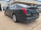 Used 2021 Cadillac CT4 Luxury w/ Sun And Sound Package image 3