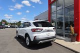 Used 2020 Ford Escape SE image 6
