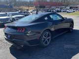 New 2025 Ford Mustang Coupe image 4
