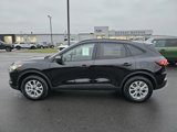 New 2025 Ford Escape Active w/ Tech Pack #1 image 2