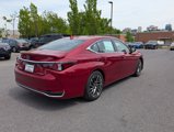 New 2025 Lexus ES 300h w/ Luxury Package image 3