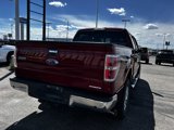 Used 2014 Ford F150 XLT w/ Equipment Group 302A Luxury image 5