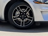 Certified 2023 Ford Mustang Coupe w/ Equipment Group 101A image 3