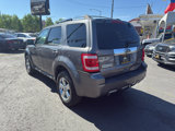 Used 2010 Ford Escape Limited image 3