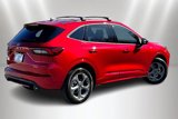 Used 2024 Ford Escape ST-Line w/ Tech Pack #1 image 2