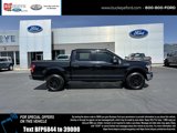 Certified 2019 Ford F150 XLT w/ Equipment Group 301A Mid image 3
