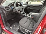 New 2025 Ford Escape Active image 2
