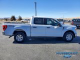 Certified 2021 Ford F150 XLT w/ Equipment Group 301A Mid image 4