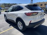 Used 2022 Ford Escape SE image 5
