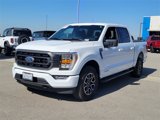 Certified 2023 Ford F150 XLT w/ Equipment Group 302A High image 3
