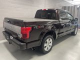 Used 2019 Ford F150 Platinum image 2
