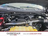 Used 2018 Ford F150 Platinum w/ Equipment Group 701A Luxury image 3
