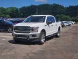 Certified 2019 Ford F150 XLT w/ Equipment Group 302A Luxury image 2