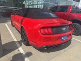 Used 2018 Ford Mustang Premium image 5