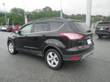 Used 2016 Ford Escape SE w/ SE Leather Comfort Package image 4