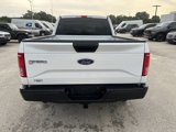 Used 2016 Ford F150 XL w/ Equipment Group 101A Mid image 5