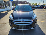 Used 2017 Ford Escape SE w/ SE Cold Weather Package image 4