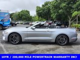 Used 2022 Ford Mustang Premium image 2