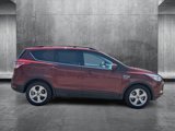 Used 2014 Ford Escape SE w/ Equipment Group 201A image 4
