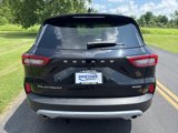 Used 2023 Ford Escape Platinum image 6