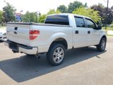 Used 2014 Ford F150 STX w/ Equipment Group 201A Mid image 3