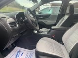 Used 2024 Chevrolet Equinox LS w/ LS Convenience Package image 5