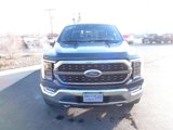 Certified 2021 Ford F150 King Ranch w/ Equipment Group 601A High image 3