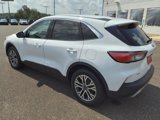 Used 2022 Ford Escape SEL image 3